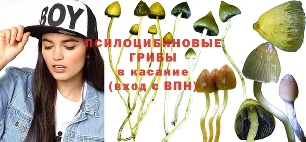 jwh Белокуриха