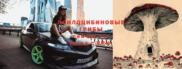 эйфоретик Белоозёрский