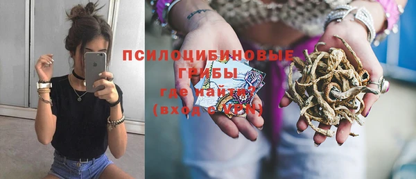 спайс Беломорск