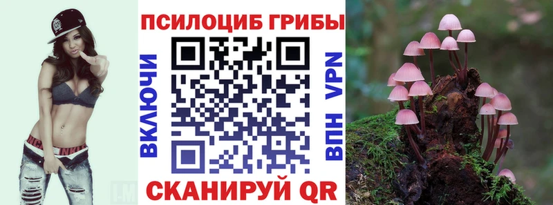 продажа наркотиков Чудово Псилоцибиновые грибы MAGIC MUSHROOMS